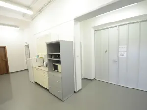 Pronájem skladu, Praha - Žižkov, Malešická, 70 m2