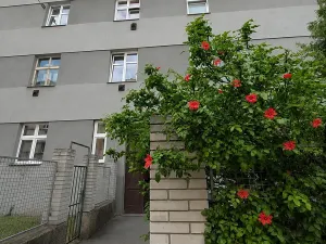 Prodej bytu 2+kk, Praha - Nusle, V zálomu, 53 m2