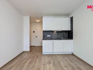 Pronájem bytu 1+kk, Praha - Vršovice, Kubánské náměstí, 19 m2