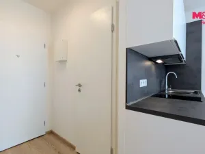 Pronájem bytu 1+kk, Praha - Vršovice, Kubánské náměstí, 19 m2