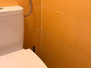 Pronájem bytu 2+1, Kroměříž, Vrobelova, 51 m2