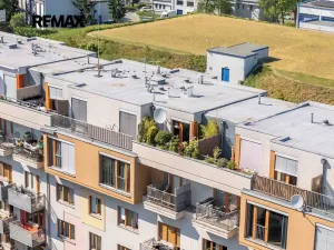 Prodej bytu 2+kk, Praha - Žižkov, Pod lipami, 45 m2