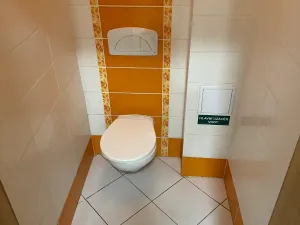 Pronájem bytu 2+1, Ústí nad Labem, Masarykova, 101 m2