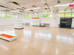Pronájem obchodního prostoru, Havířov - Šumbark, Marie Pujmanové, 260 m2