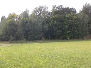Prodej pole, Tachov, 5912 m2