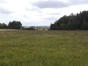 Prodej pole, Tachov, 5912 m2
