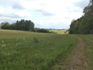 Prodej pole, Tachov, 5912 m2