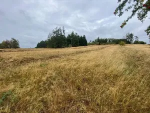 Prodej pozemku, Český Rudolec - Matějovec, 3408 m2
