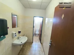 Pronájem kanceláře, Ústí nad Labem, Přístavní, 14 m2
