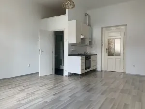 Pronájem bytu 1+kk, Praha - Vršovice, Orelská, 31 m2