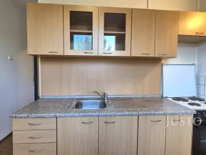 Pronájem bytu 1+1, Písek, Sovova, 34 m2