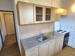 Pronájem bytu 1+1, Písek, Sovova, 34 m2