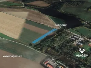 Prodej podílu pole, Telč, 1233 m2