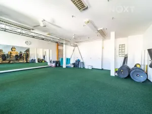 Pronájem obchodního prostoru, Karviná, Masarykovo nám., 165 m2