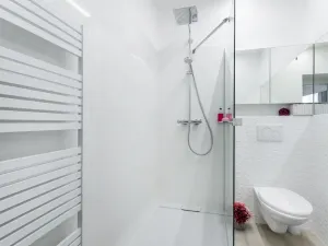 Pronájem bytu 1+kk, Albrechtice nad Orlicí, 1. máje, 26 m2