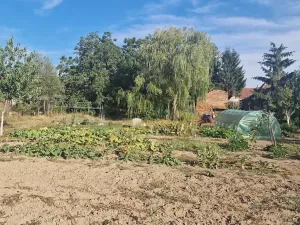 Prodej pozemku pro bydlení, Pouzdřany, Hlavní, 1024 m2