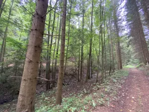 Prodej louky, Strážná, 2049 m2