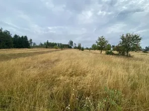 Dražba louky, Český Rudolec, 3408 m2