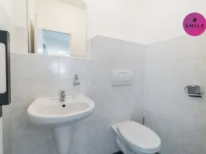 Pronájem bytu 4+kk, Čeladná, 211 m2