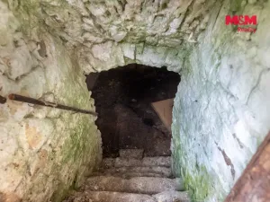 Prodej zemědělské usedlosti, Přešťovice, 100 m2