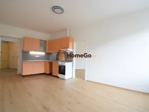 Pronájem bytu 2+kk, Praha - Nusle, Žateckých, 58 m2