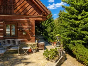 Prodej chaty, Vrchlabí - Hořejší Vrchlabí, Pod Žalým, 125 m2