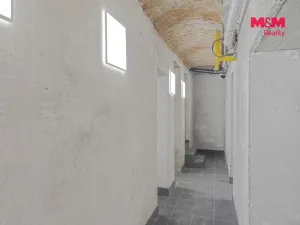 Prodej komerční nemovitosti, Praha, Seifertova, 110 m2