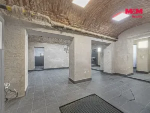 Prodej komerční nemovitosti, Praha, Seifertova, 110 m2