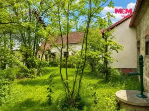 Prodej zemědělské usedlosti, Protivín - Chvaletice, 70 m2