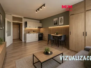 Prodej bytu 1+kk, Karlovy Vary - Rybáře, U Koupaliště, 24 m2