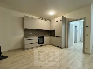 Pronájem bytu 1+kk, Olomouc, Edmunda Husserla, 44 m2