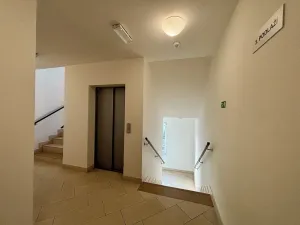 Pronájem bytu 1+kk, Praha - Letňany, Kadečkové, 30 m2