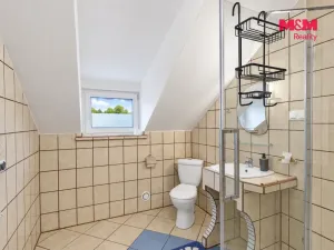 Prodej rodinného domu, Město Albrechtice - Linhartovy, 300 m2