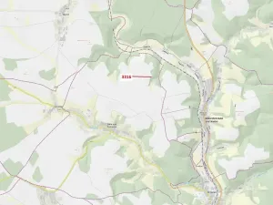 Dražba lesa, Bělá nad Svitavou, 327 m2