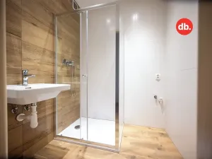 Pronájem bytu 2+1, Nová Role, Tovární, 59 m2