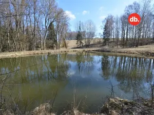 Prodej rybníku, Toužim, 5506 m2