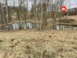 Prodej rybníku, Toužim, 5506 m2