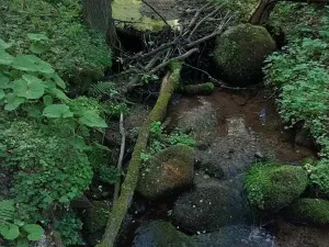 Prodej pozemku, Merklín, 3609 m2