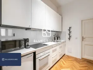 Pronájem bytu 2+1, Praha - Nové Město, Gorazdova, 57 m2