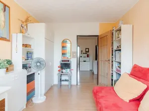 Prodej bytu 4+1, Praha - Podolí, Hudečkova, 108 m2