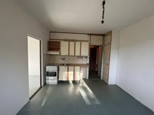 Pronájem bytu 1+1, Plzeň, Karla Steinera, 36 m2
