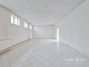 Prodej skladu, Tábor, Nábřeží, 237 m2