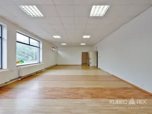 Prodej obchodního prostoru, Tábor, Nábřeží, 237 m2