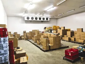 Prodej výrobních prostor, Rozsíčka, 1700 m2