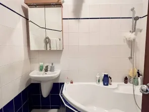 Prodej bytu 1+1, Praha - Vinohrady, Anny Letenské, 50 m2
