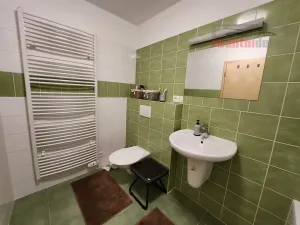 Prodej bytu 1+kk, Říčky v Orlických horách, 55 m2