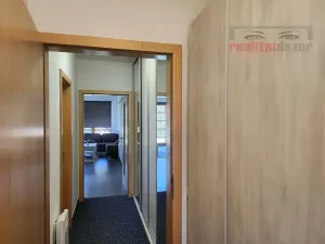 Prodej bytu 1+kk, Říčky v Orlických horách, 55 m2