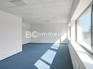 Pronájem skladu, Moravany, Průmyslová, 325 m2