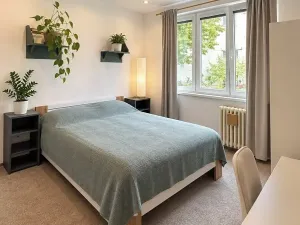 Prodej bytu 3+1, Ostrov, Kollárova, 68 m2