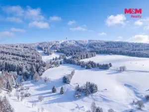 Prodej rodinného domu, Loučná pod Klínovcem - Loučná, 270 m2